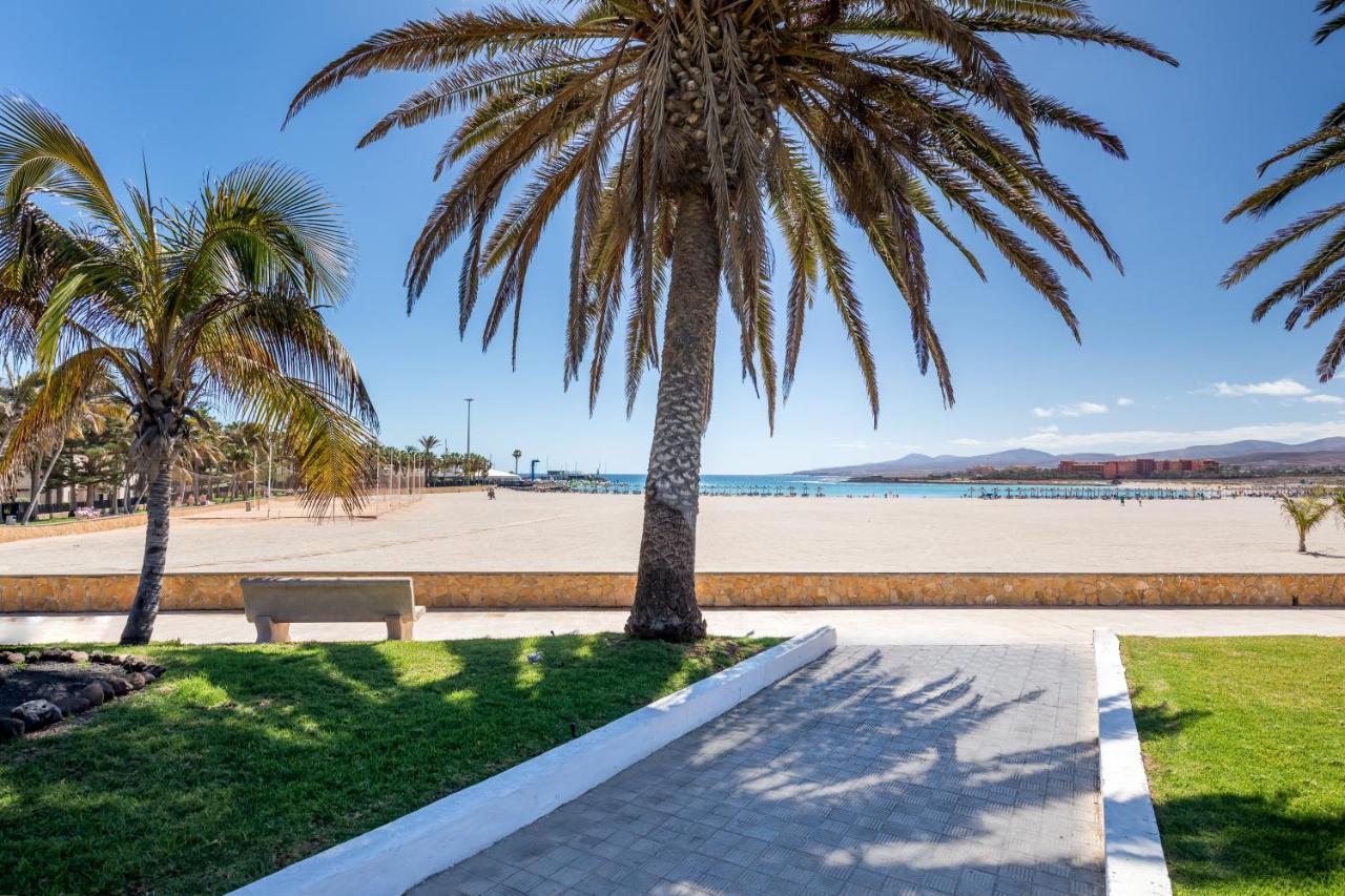 Barceló Fuerteventura Royal Level - Adults Only Hotel 4*