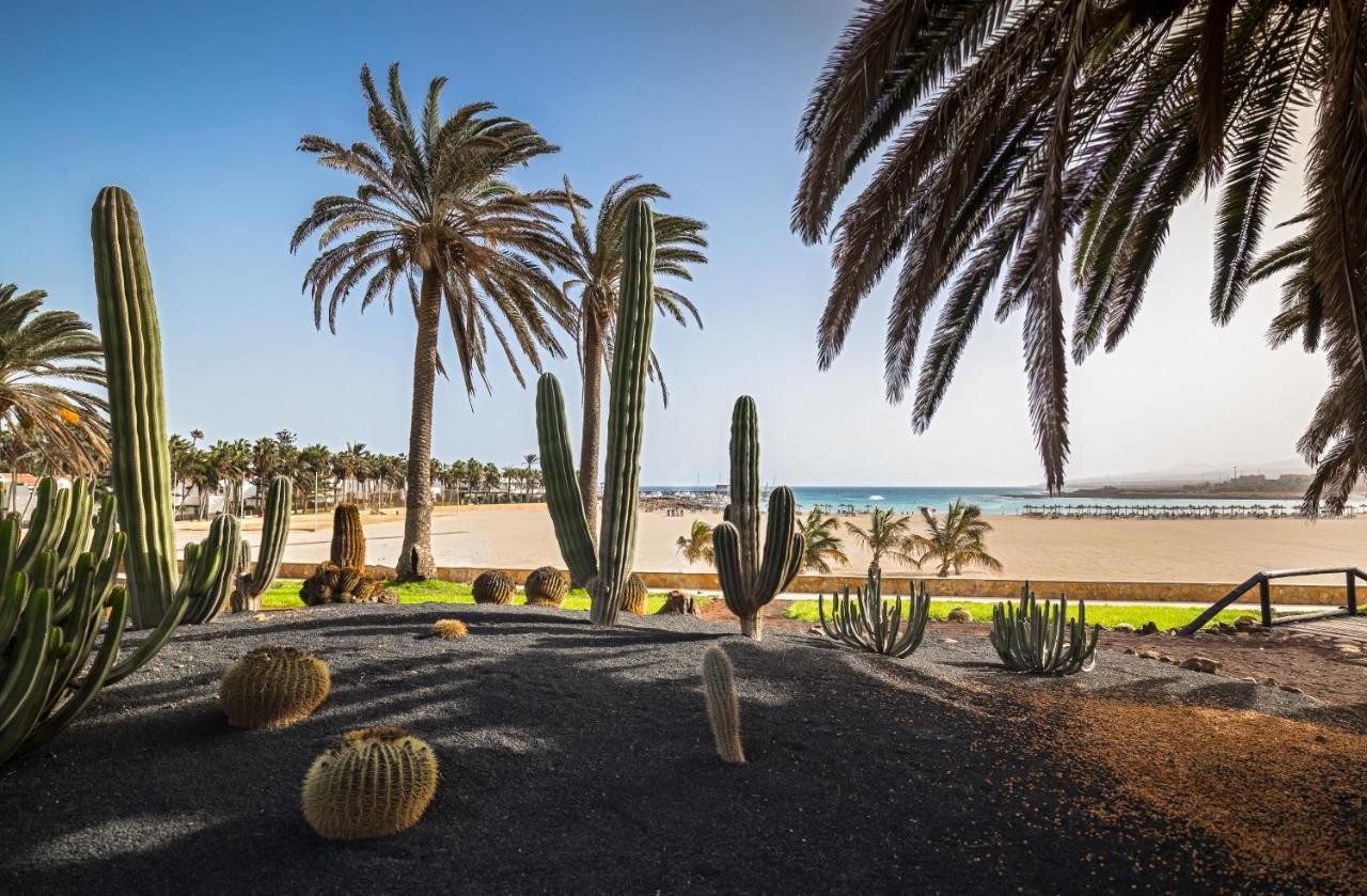 Barceló Fuerteventura Royal Level - Adults Only Hotel 4*